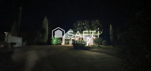 photo no. 14
