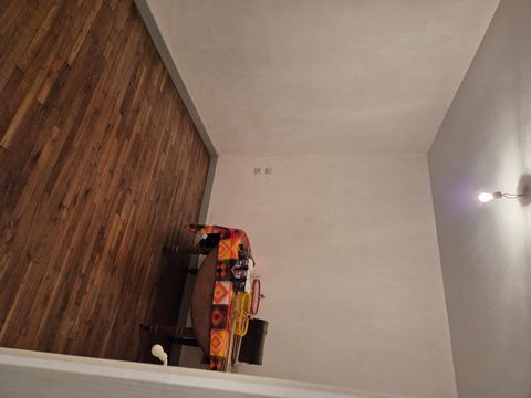 photo no. 7