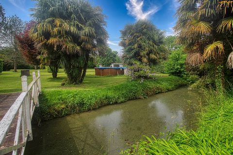 photo no. 10