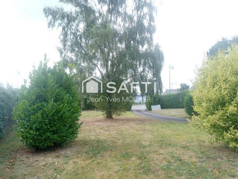 photo no. 11