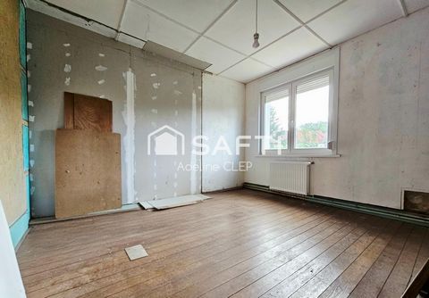 photo no. 11