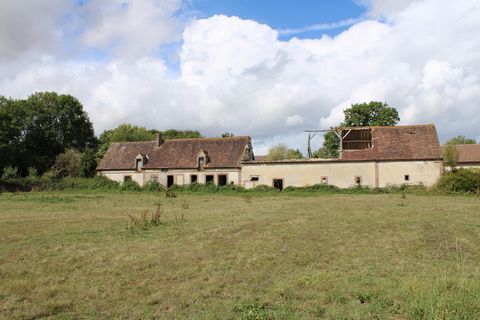 photo no. 3
