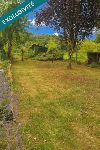 photo no. 13