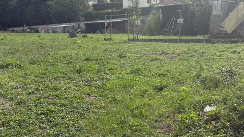 photo no. 4