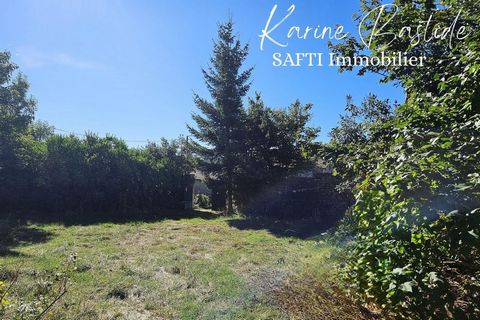 photo no. 3