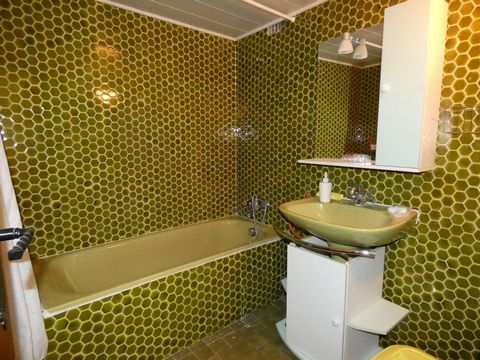 photo no. 7