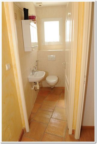 photo no. 8