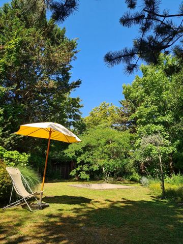 photo no. 14