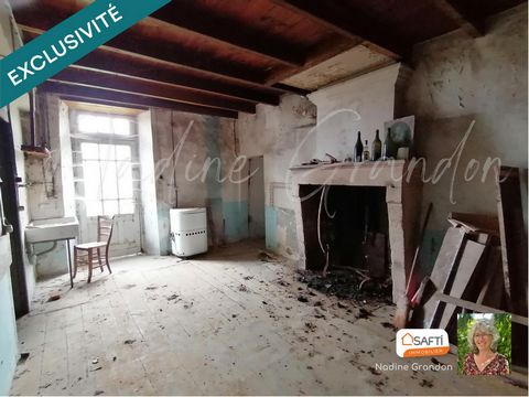 photo no. 10
