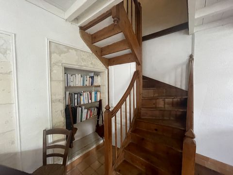 photo no. 12