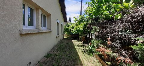 photo no. 19