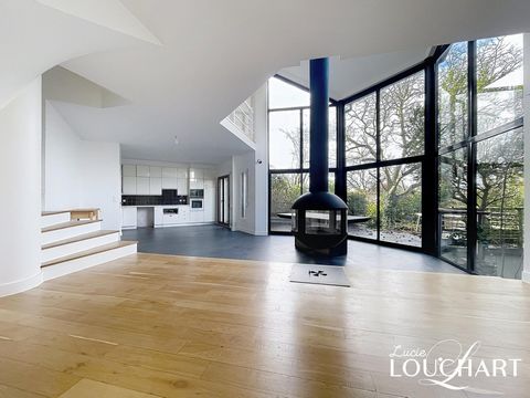 photo no. 8