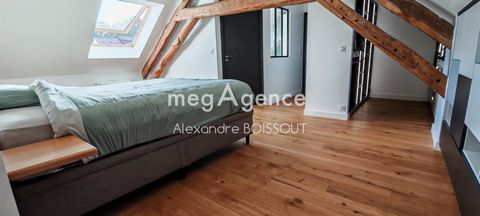 photo no. 11