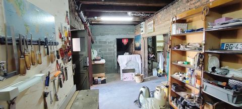 photo no. 19