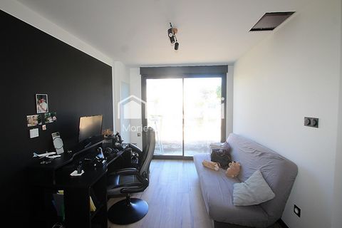 photo no. 7