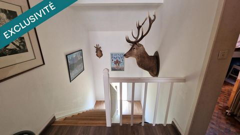 photo no. 11