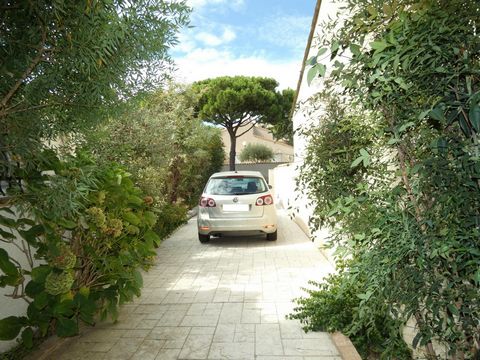 photo no. 13