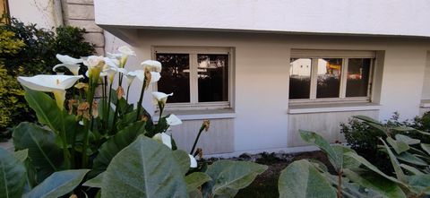 photo no. 8