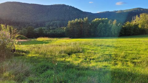 SAINT DIE DES VOSGES - TERRAIN CONSTRUCTIBLE