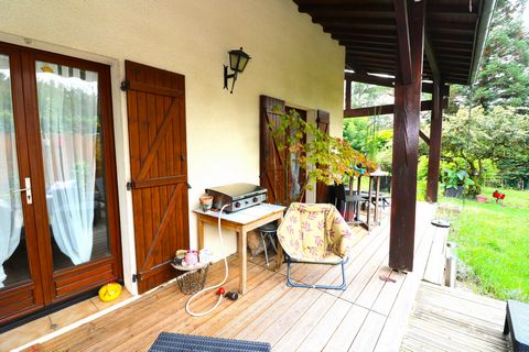 photo no. 17