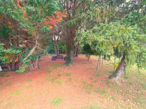 photo no. 18
