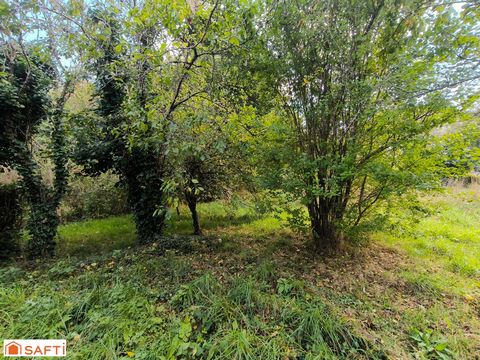 photo no. 10