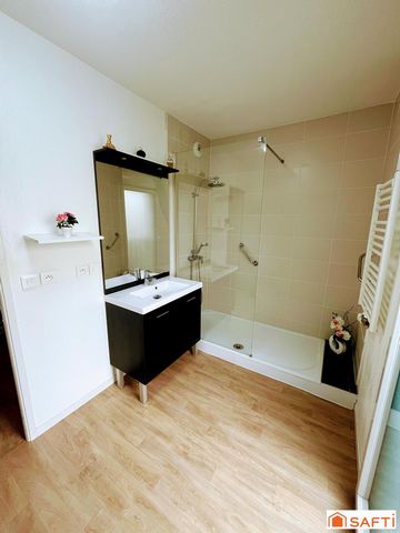 photo no. 11