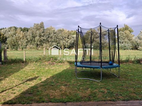 photo no. 10