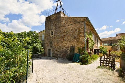 photo no. 1
