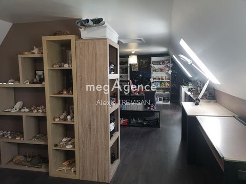 photo no. 12