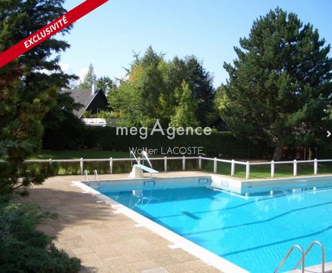photo no. 11
