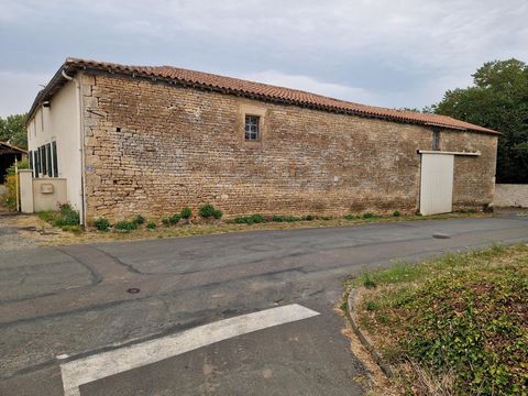 photo no. 3