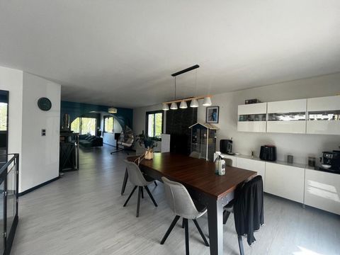 photo no. 9
