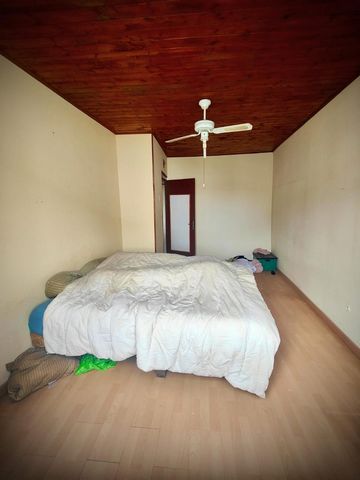 photo no. 3