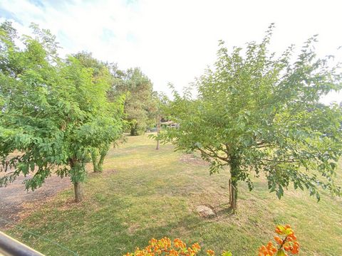 photo no. 13