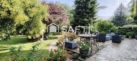 photo no. 11