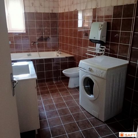 photo no. 11