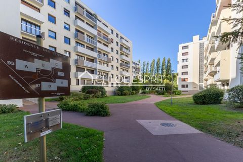 photo no. 10