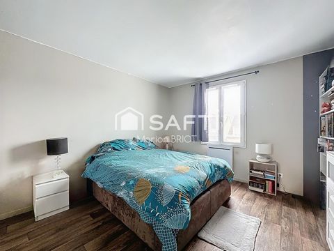 photo no. 6