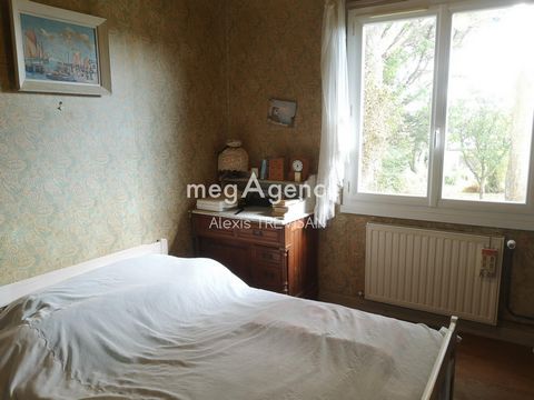 photo no. 8