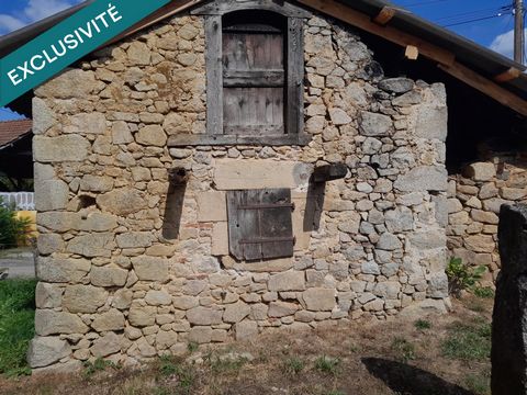 photo no. 10