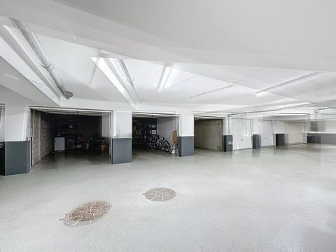 photo no. 13