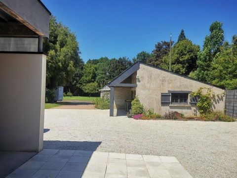 photo no. 14