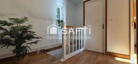 photo no. 11