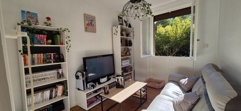 photo no. 19