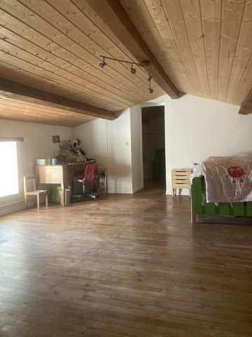 photo no. 11