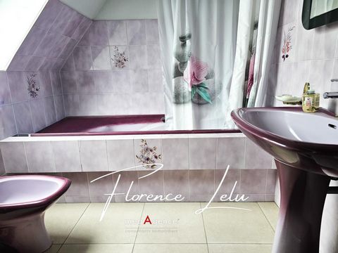 photo no. 10
