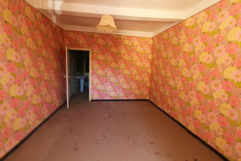 photo no. 6
