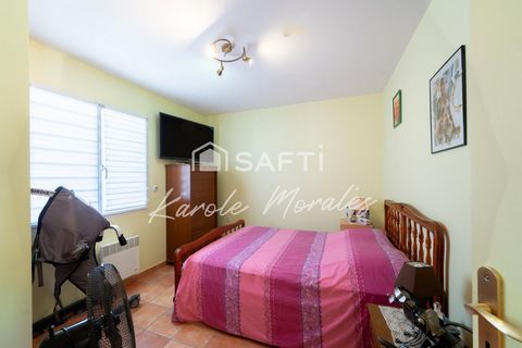 photo no. 11