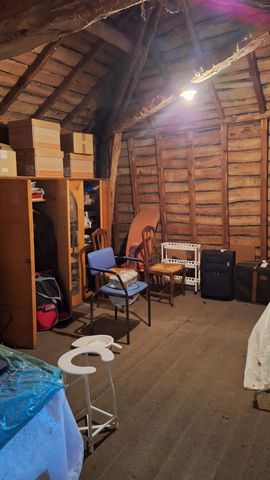 photo no. 18